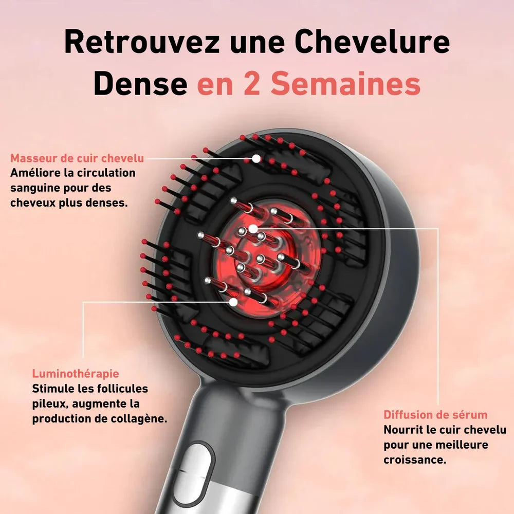Brosse 3 en 1 LED massante applicateur d'huile