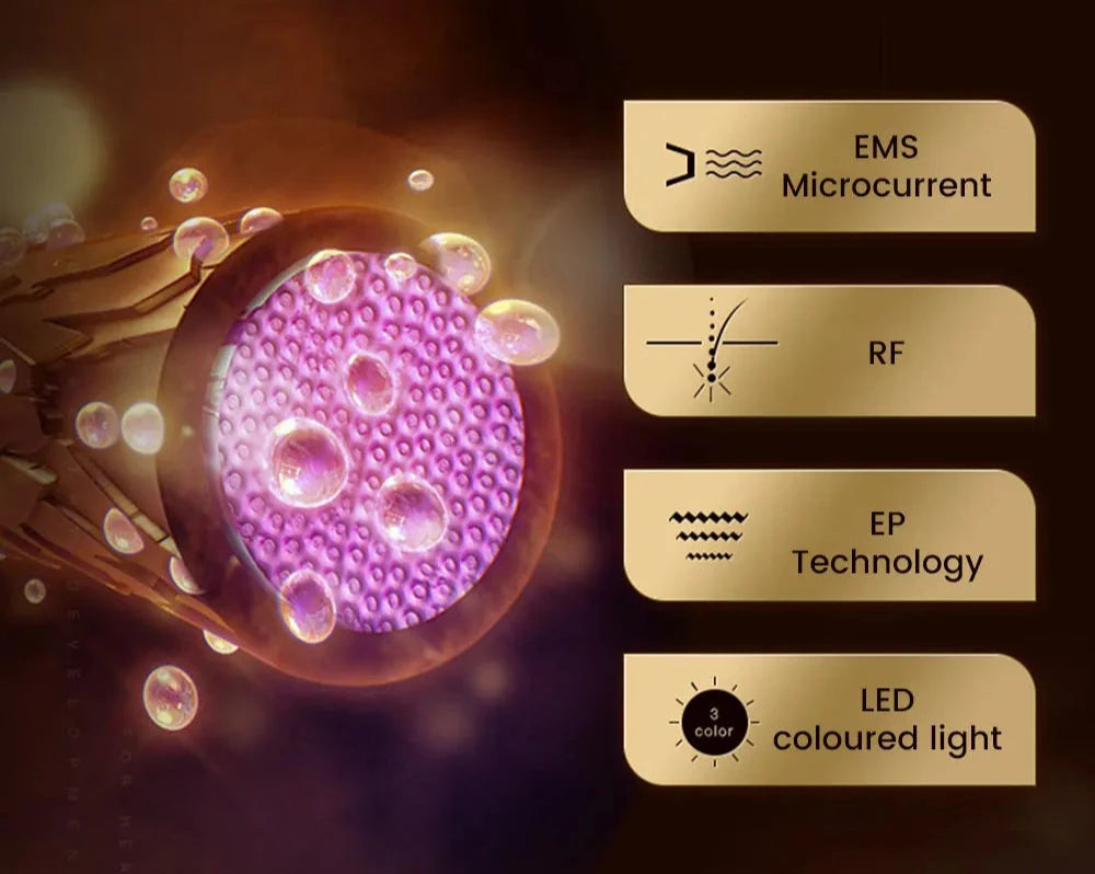 Brosse 7 en 1 EMS RF LED electroporation applicateur d'huile massante
