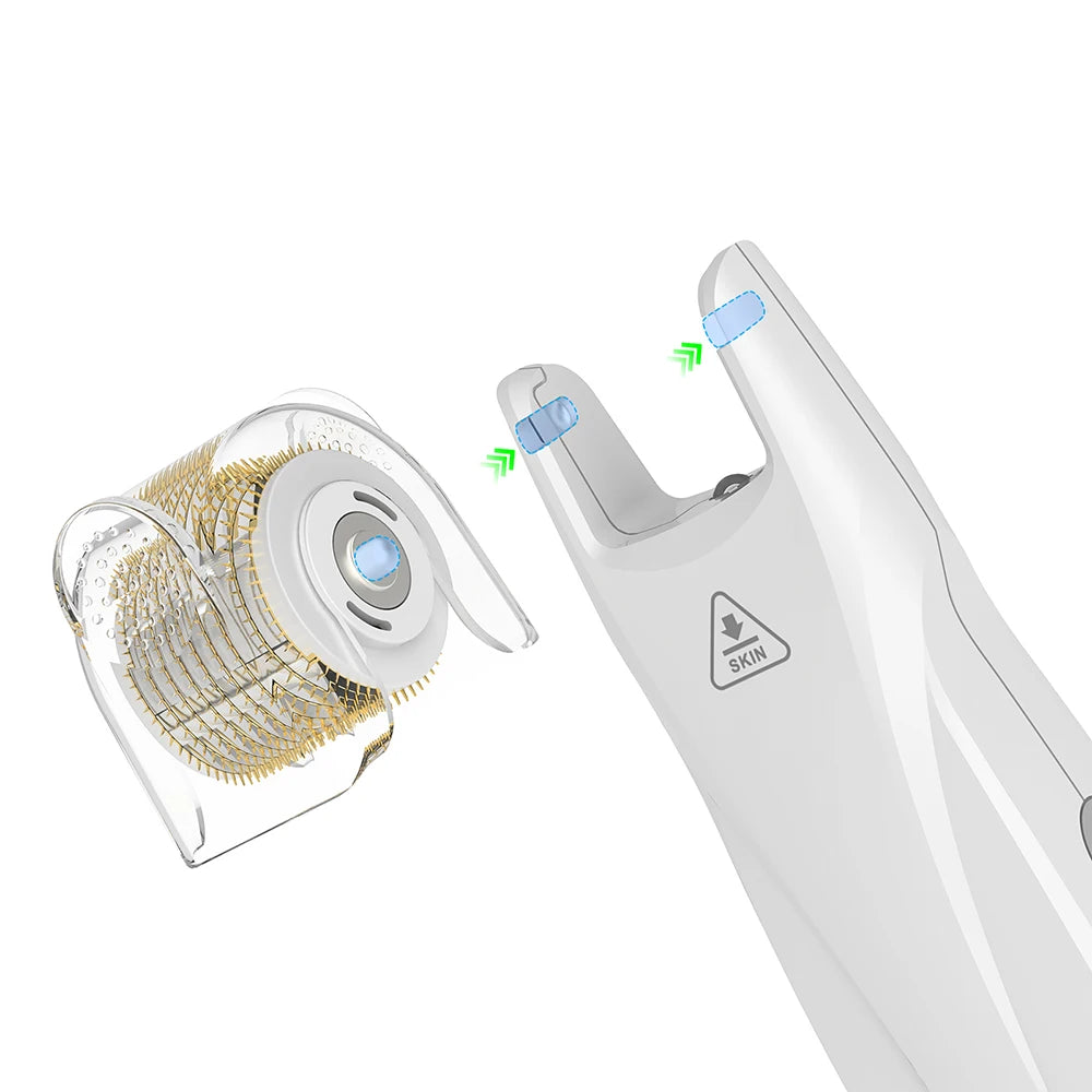 Kit professionnel de micro-aiguilles Derma Roller, EMS avec 2 lumières LED pour les rides, les cicatrices, la perte de cheveux, les soins de la peau